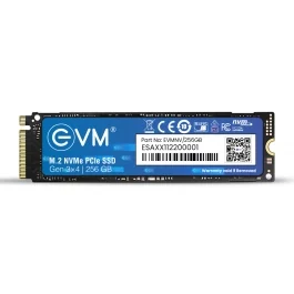 EVM 256GB M.2 NVME PCIE SSD